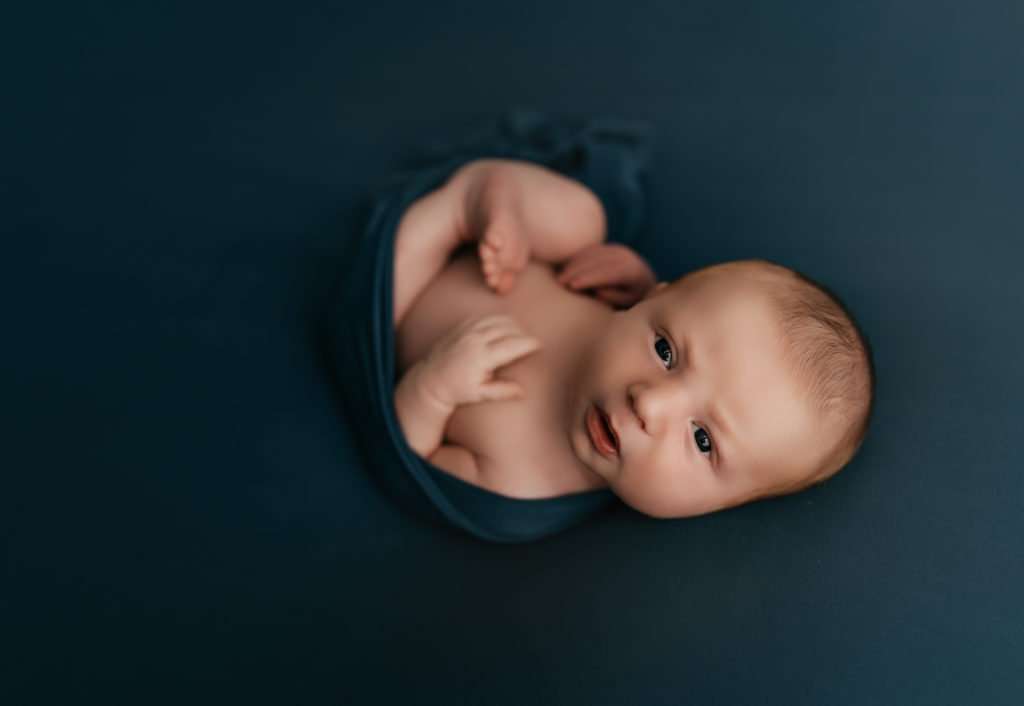 baby in egg wrap pose looking at camera during newborn photography session on dark blue backdrop