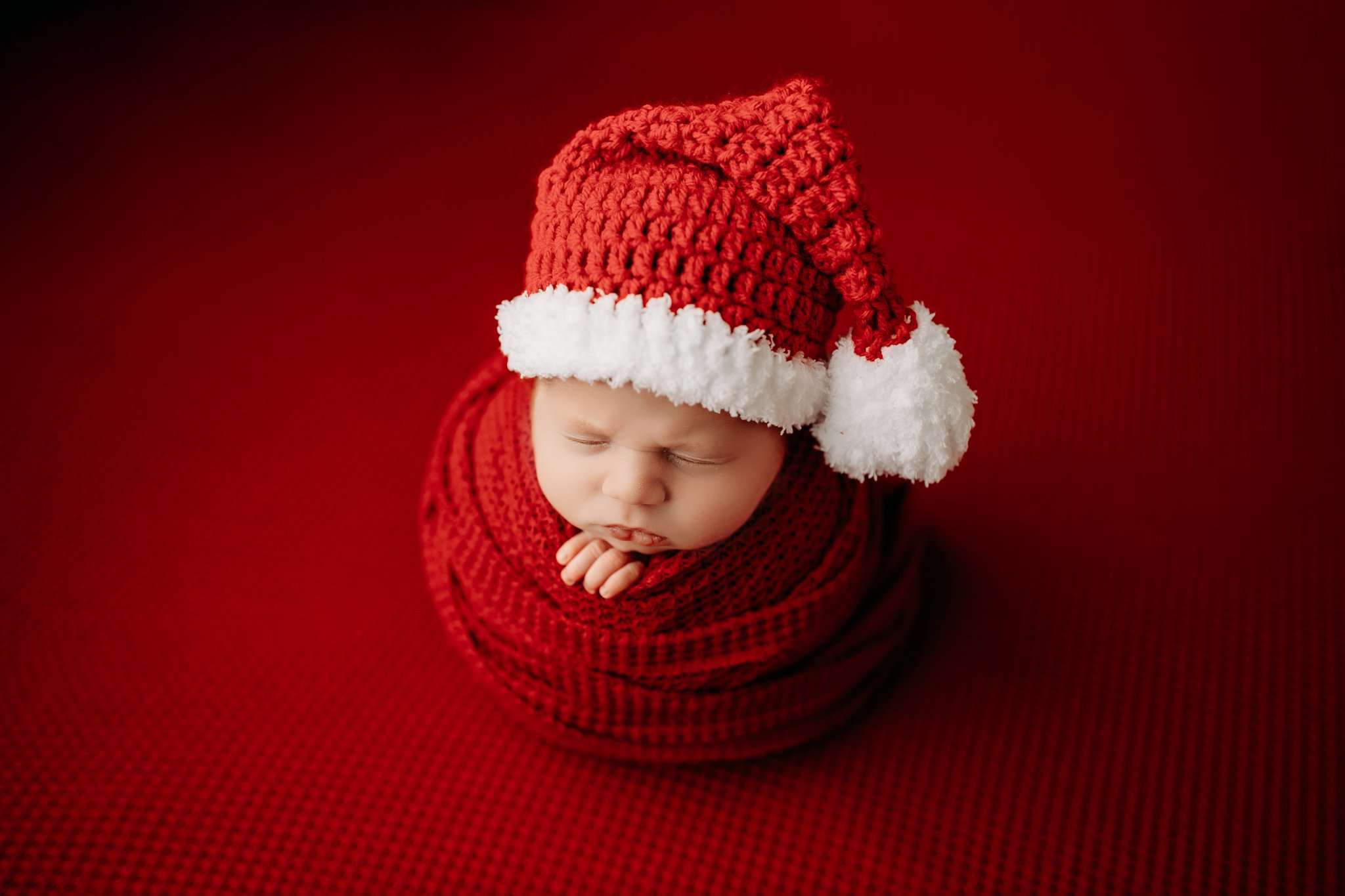potato pose with christmas hat on a red backdrop