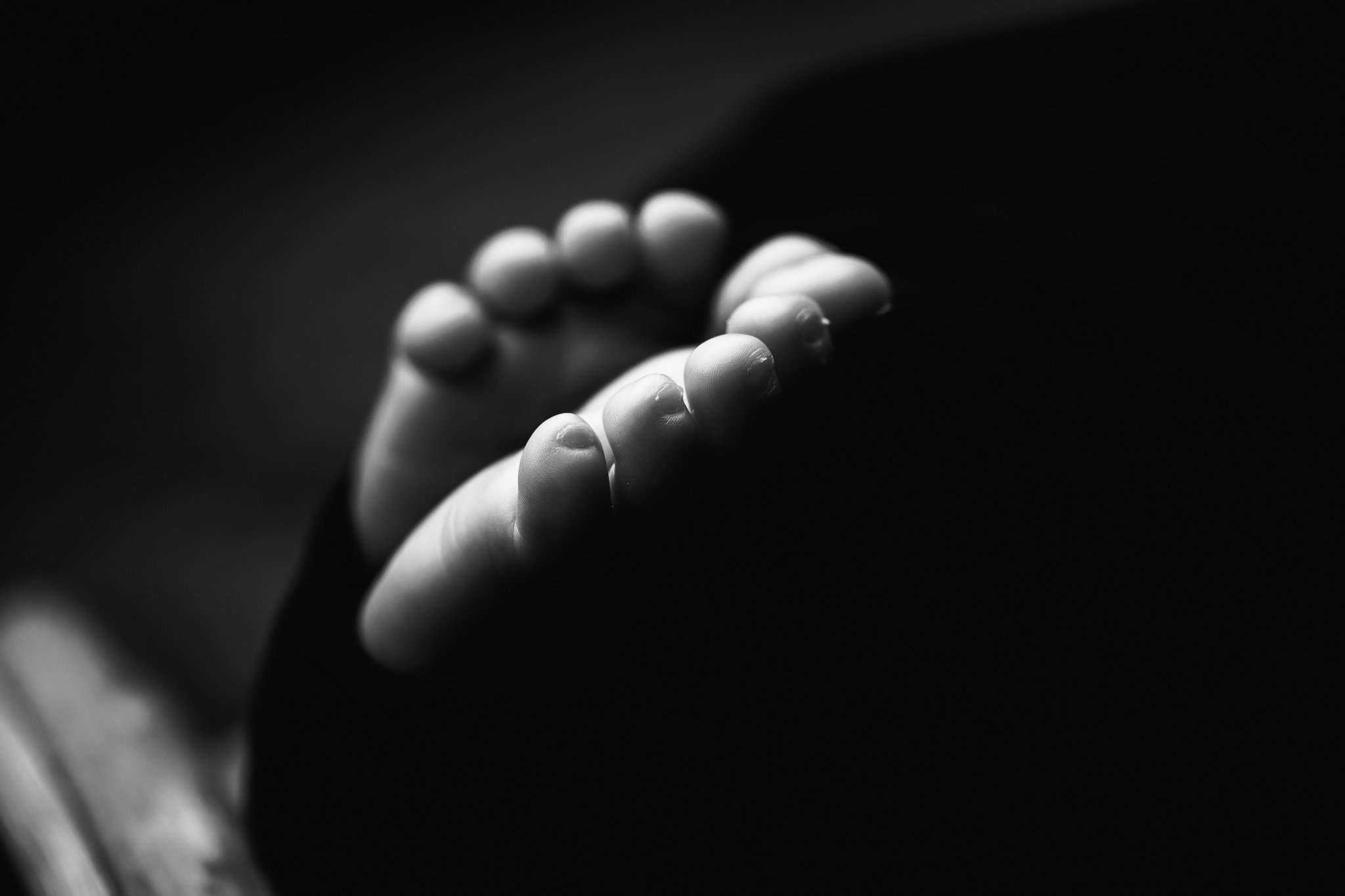 close up of newborn toes in black and white