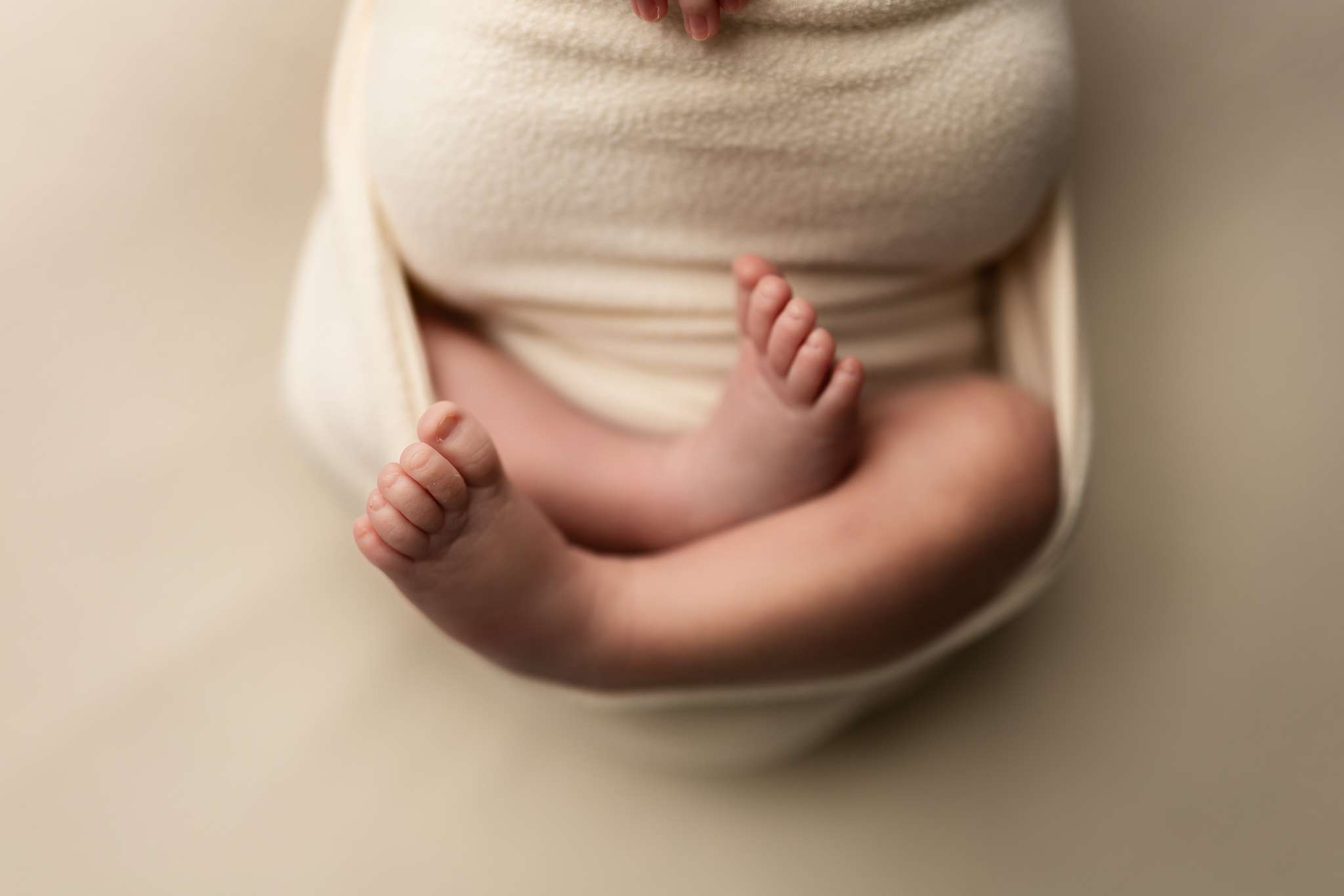 family studio session, best baby photographer Northwest Arkansas