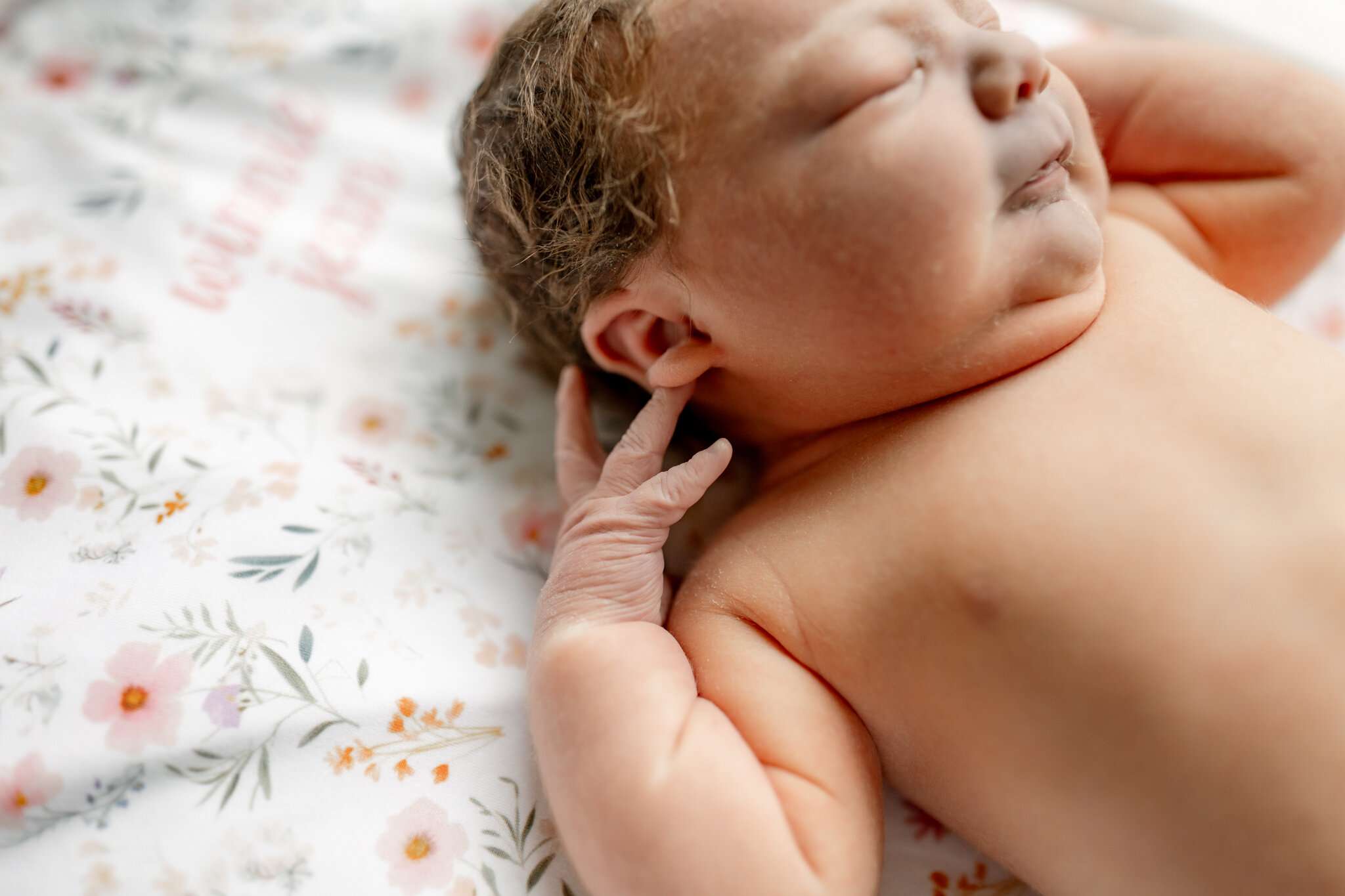 fresh 48 photographer near me NW Arkansas, Northwest Arkansas baby photographer, best newborn portraits NWA