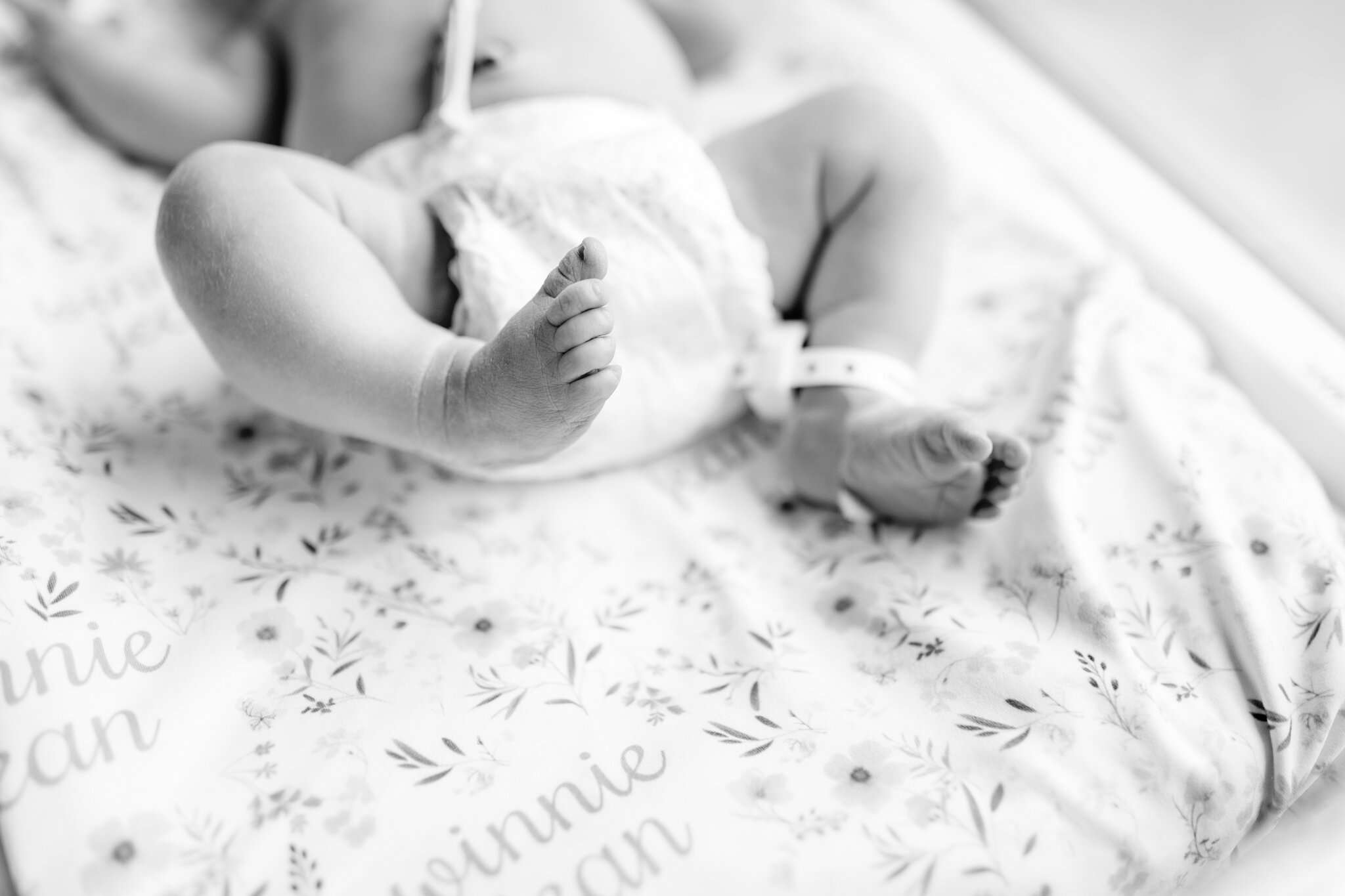 fresh 48 photographer near me NW Arkansas, Northwest Arkansas baby photographer, best newborn portraits NWA