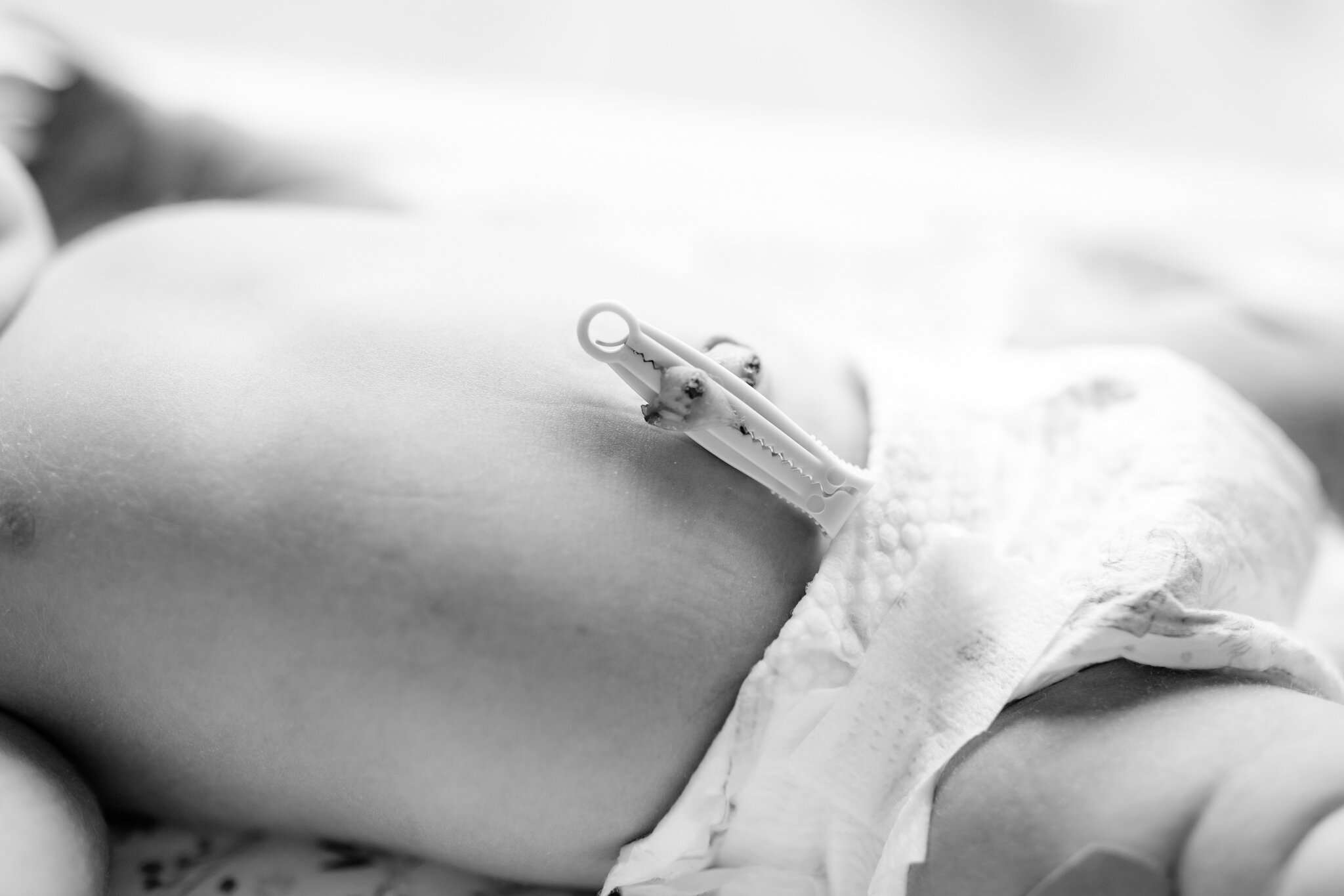 fresh 48 photographer near me NW Arkansas, Northwest Arkansas baby photographer, best newborn portraits NWA