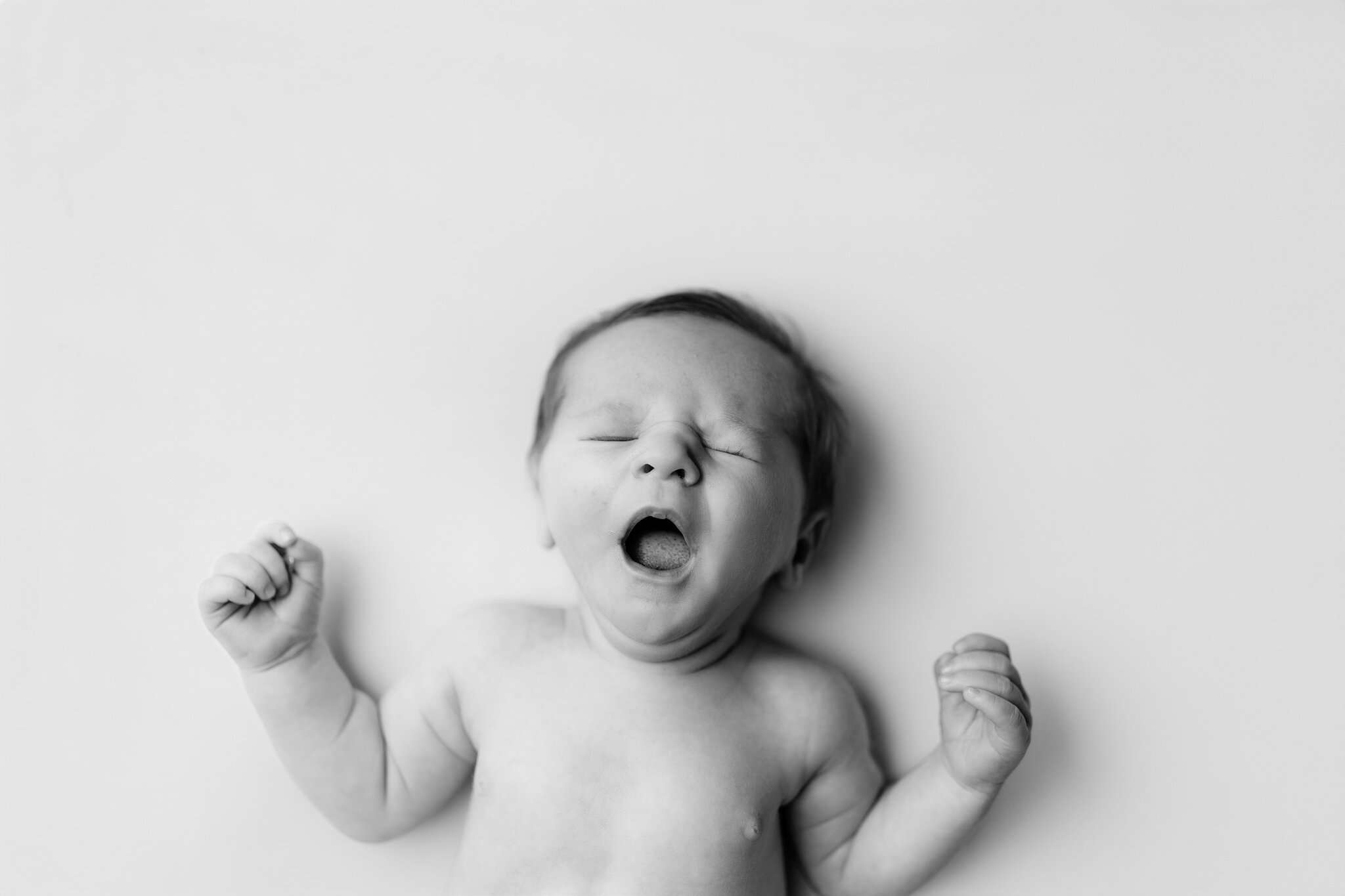 Pleasant Grove newborn portrait studio, Bentonville AR newborn photoshoot, Pea Ridge newborn photographer